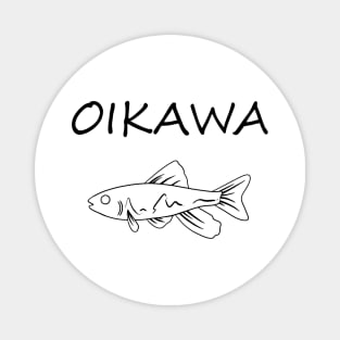 Oikawa Magnet